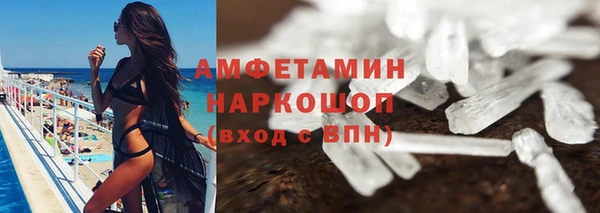 прущие грибы Тайга
