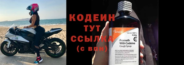 прущие грибы Тайга