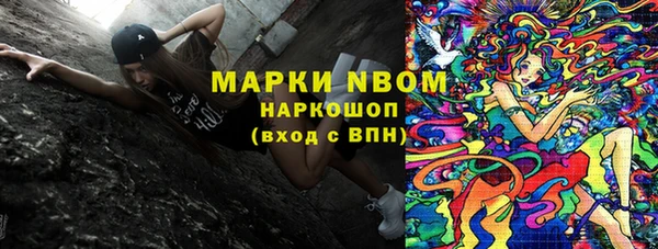 прущие грибы Тайга