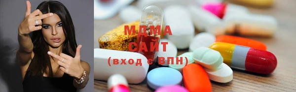 прущие грибы Тайга