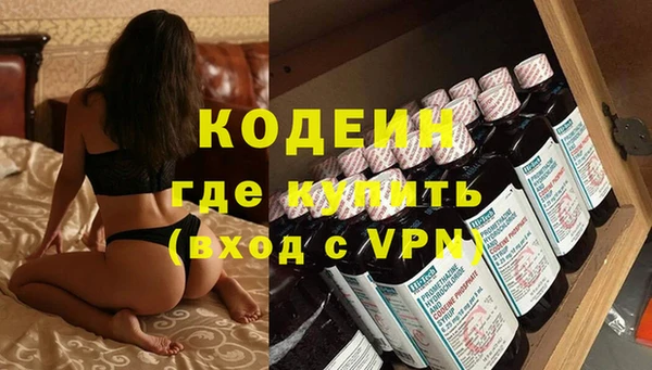 прущие грибы Тайга