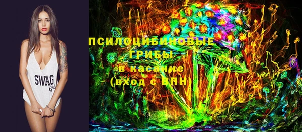 прущие грибы Тайга