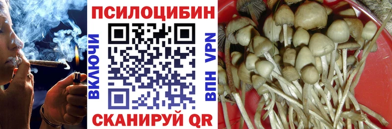 Галлюциногенные грибы Cubensis  Алейск 