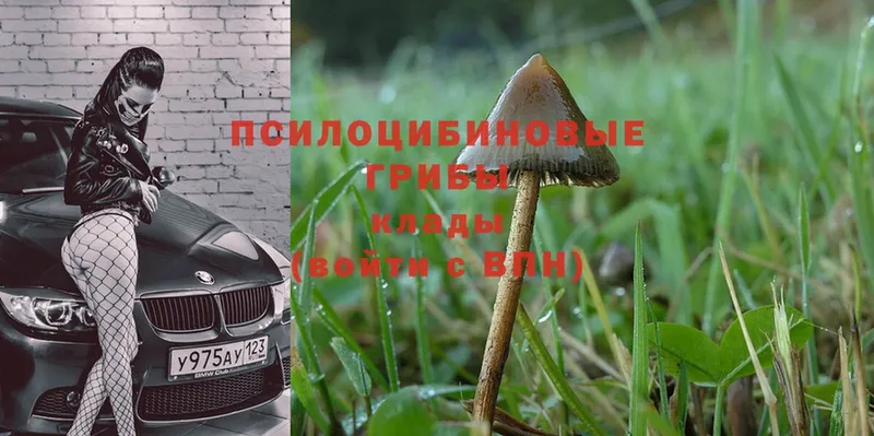 Галлюциногенные грибы MAGIC MUSHROOMS  Алейск 