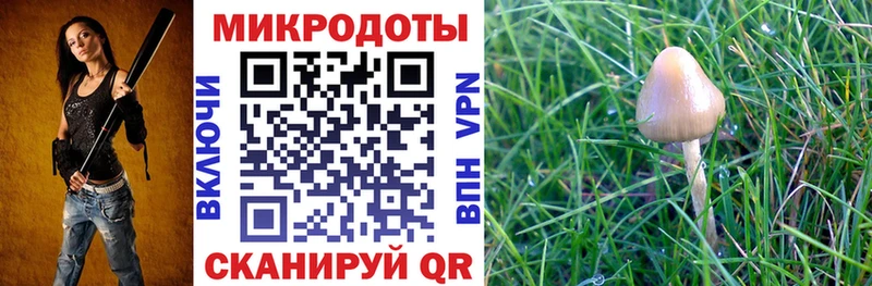 Галлюциногенные грибы MAGIC MUSHROOMS Алейск