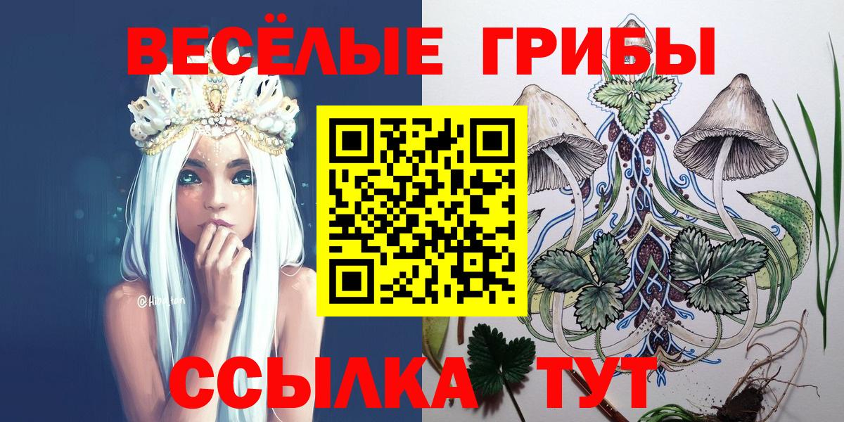 Алейск  Галлюциногенные грибы Psilocybe  наркотики  Вход с VPN 