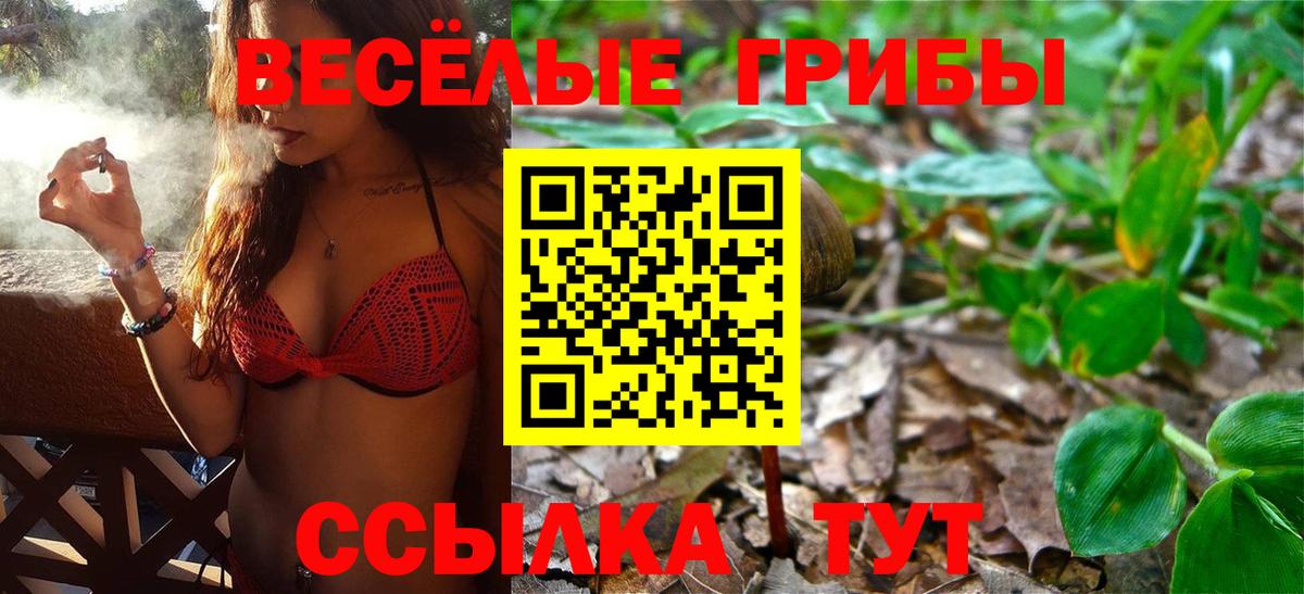 Галлюциногенные грибы MAGIC MUSHROOMS Алейск