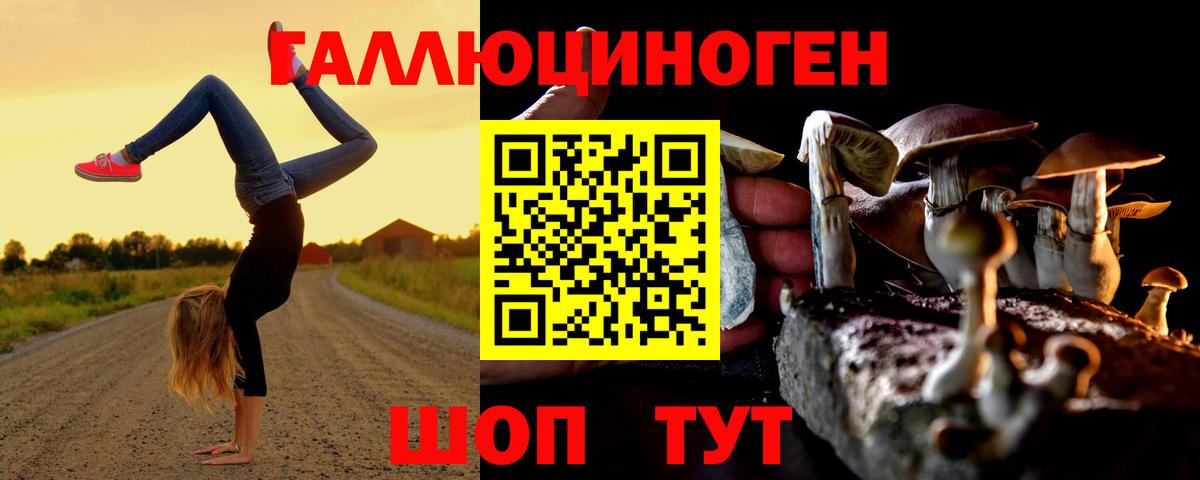 Галлюциногенные грибы Psilocybine cubensis  Алейск 