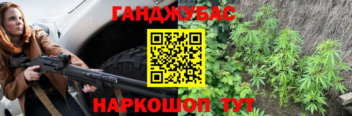 Канабис сатива  Алейск  Бошки марихуана планчик  Бошки Шишки SATIVA & INDICA 