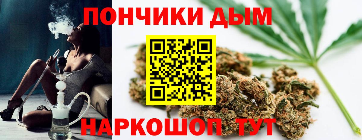 Бошки Шишки VHQ Алейск